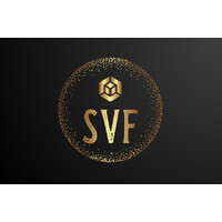 Silicon Valley Financial (SVF)