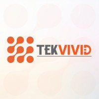 TekVivid, Inc