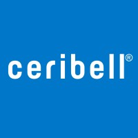 Ceribell │ AI-Powered Point-of-Care EEG