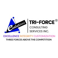 Tri-Force Consulting Services Inc.