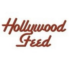 Hollywood Feed