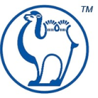 Camel Energy Inc