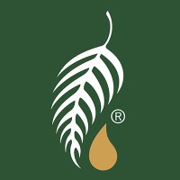 Melaleuca: The Wellness Company