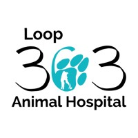 Loop 363 Animal Hospital