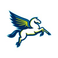 Dallas Wings