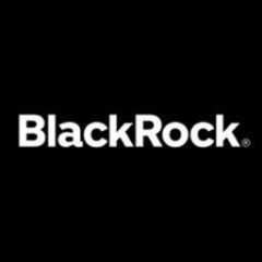 BlackRock Investments