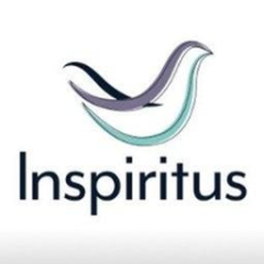 Inspiritus Inc