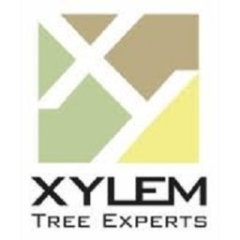 Xylem Tree Experts