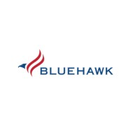 Bluehawk LLC, Intelligence Services