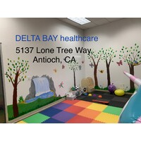 DELTA BAY HEALTHCARE