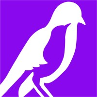 The Mockingbird Society