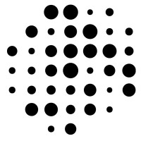 Precision Neuroscience