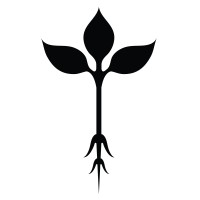 Roots Natural Kitchen