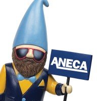ANECA Federal Credit Union
