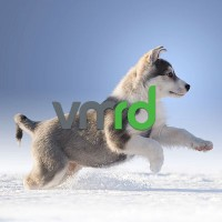 VMRD, Inc.