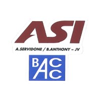 A. Servidone Inc. / B. Anthony Construction Corp. JV