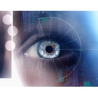 Selective Investigations Inc