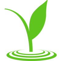 Picasso Restaurant Group