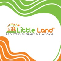 Little Land Pediatric Therapy & Play Gym