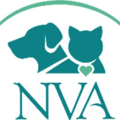 Above & Beyond Pet Care Hospital & Resort
