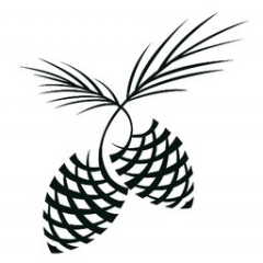 Pinehurst Country Club