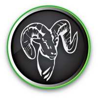 RAM Pest