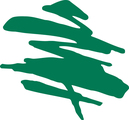Sierra Forest Products
