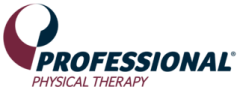 Professional Physical Therapy