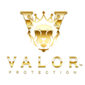 Valor Protection Safety Agency