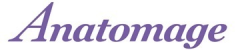 Anatomage, Inc.